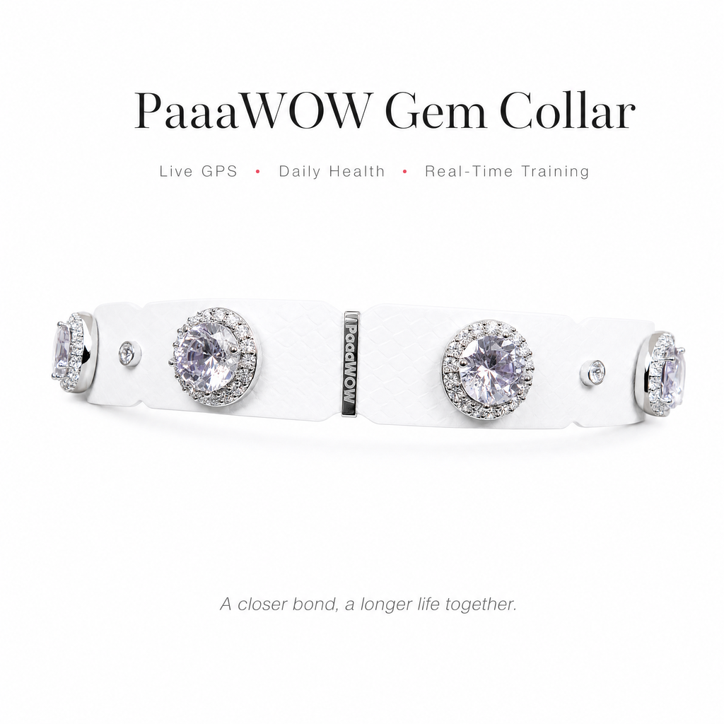 PaaaWOW Gem Pet Collar Pre-Order | Reserve $9.90