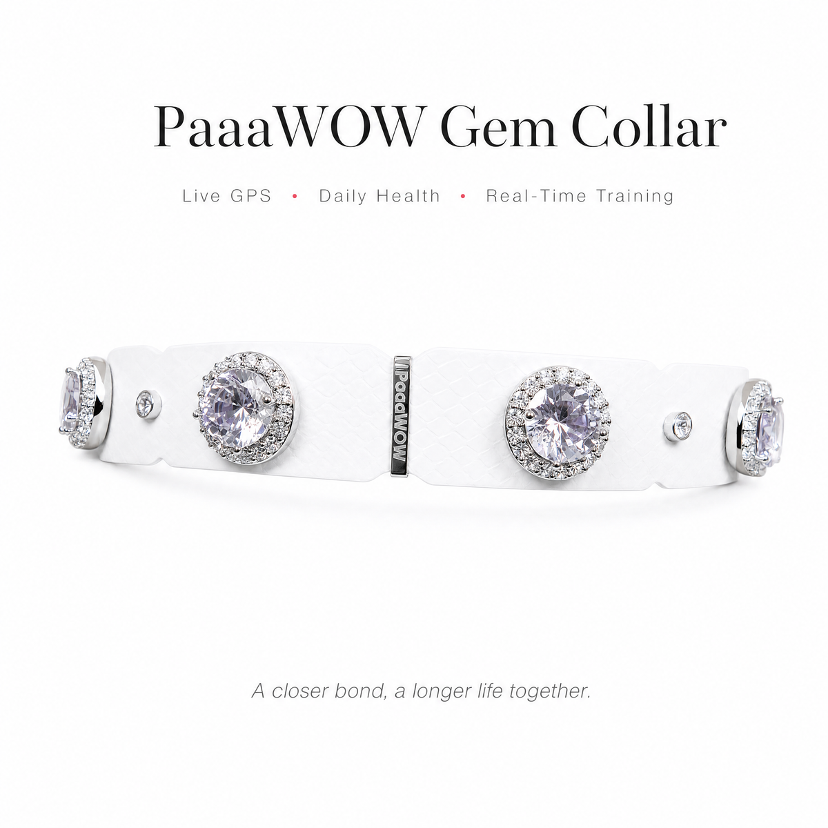 PaaaWOW Gem Pet Collar Pre-Order | Reserve $9.90