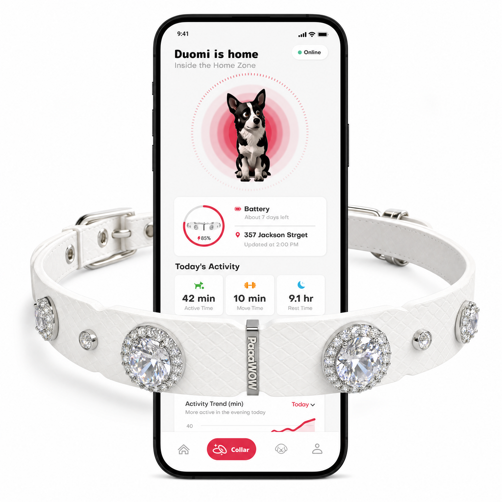 PaaaWOW Gem Pet Collar Pre-Order | Reserve $9.90