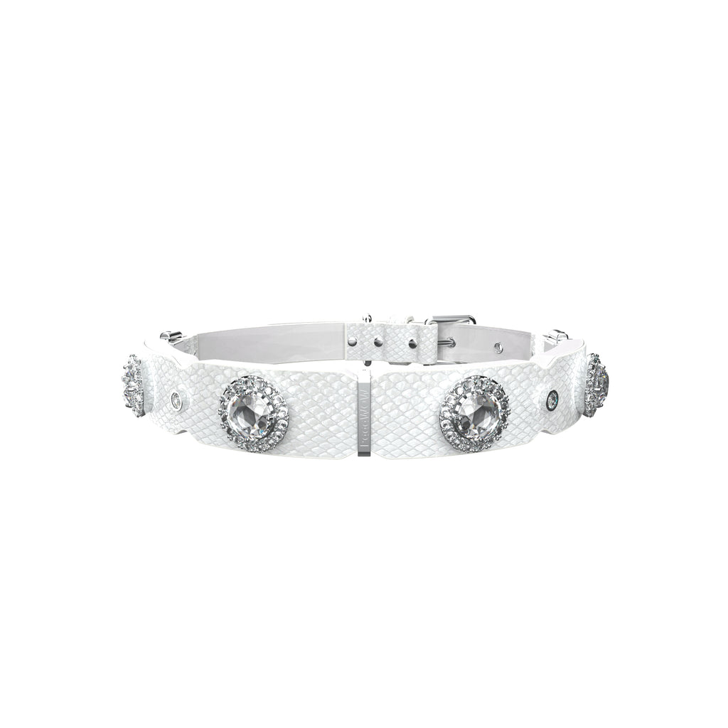 PaaaWOW Gem Pet Collar